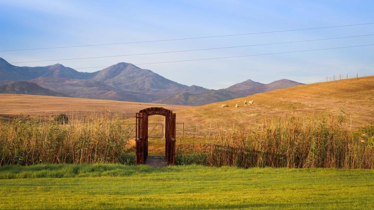 Hostal Endless Vineyards At Wildekrans Wine Estate Botrivier Exterior foto