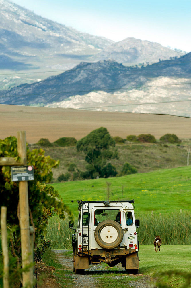 Hostal Endless Vineyards At Wildekrans Wine Estate Botrivier Exterior foto