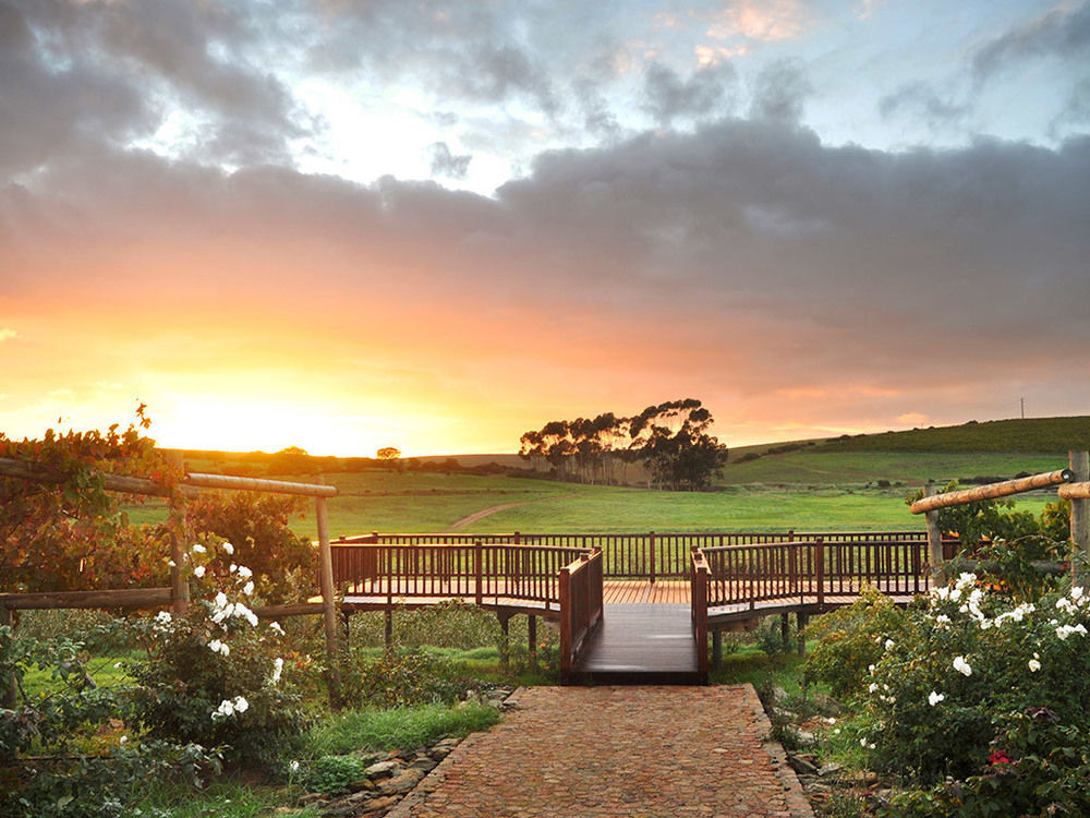 Hostal Endless Vineyards At Wildekrans Wine Estate Botrivier Exterior foto