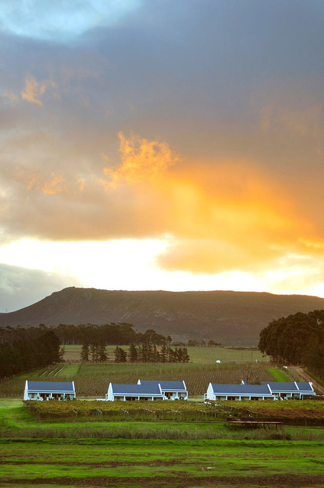 Hostal Endless Vineyards At Wildekrans Wine Estate Botrivier Exterior foto