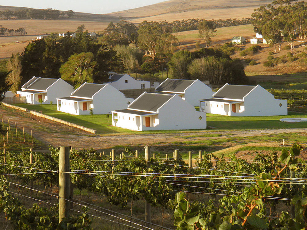 Hostal Endless Vineyards At Wildekrans Wine Estate Botrivier Exterior foto