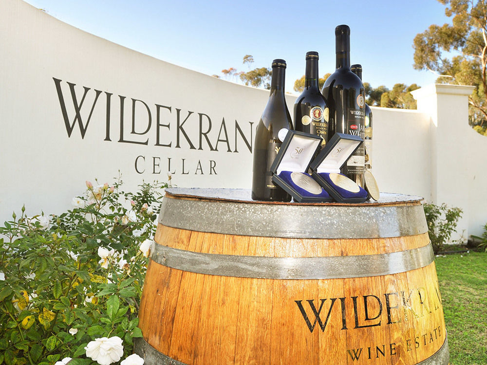 Hostal Endless Vineyards At Wildekrans Wine Estate Botrivier Exterior foto