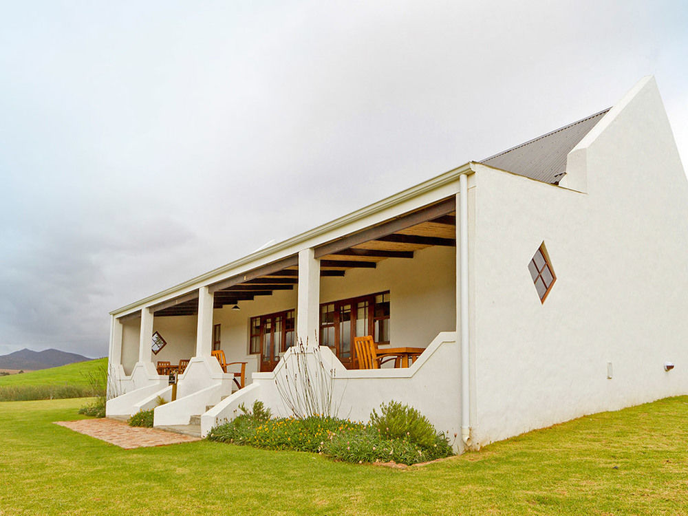 Hostal Endless Vineyards At Wildekrans Wine Estate Botrivier Exterior foto