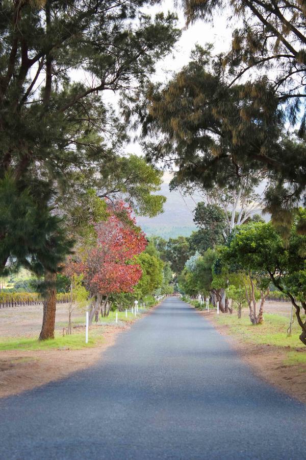 Hostal Endless Vineyards At Wildekrans Wine Estate Botrivier Exterior foto